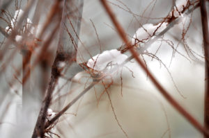 Fotografie von Heike Stommel mit dem Titel "Winterlinien"